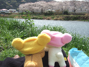 hanami-rila12.jpg