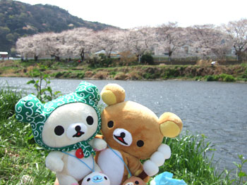 hanami-rila2.jpg