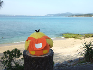 okinawa-39.jpg